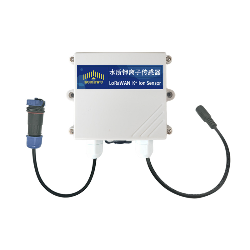 Long-term Online LoRaWAN Water Quality K+ Ion Sensor