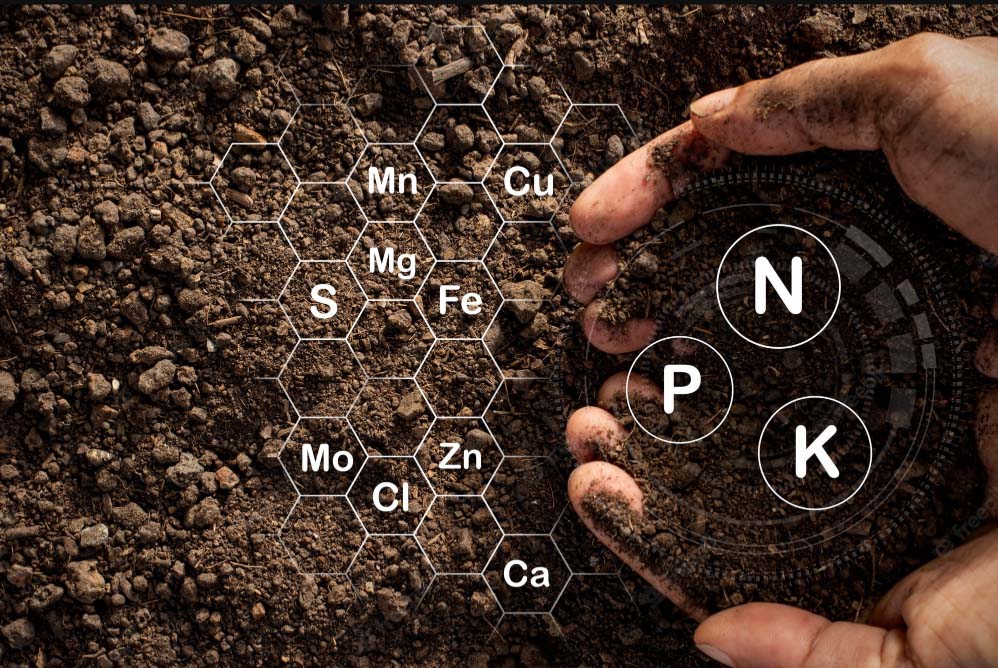 Soil NPK nitrogen, phosphorus, and potassium sensors: Empowering the "smart eye" of modern agriculture